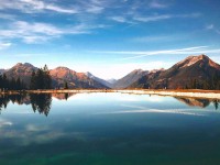 一直被讨论的，蘑菇视频新手最容易忽略的点，真实体验和想象差距有多大难怪会被反复提起