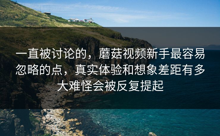 一直被讨论的，蘑菇视频新手最容易忽略的点，真实体验和想象差距有多大难怪会被反复提起